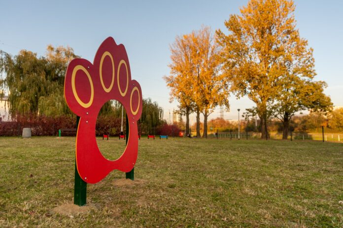 158428565_558803468415728_4320937335738506205_n