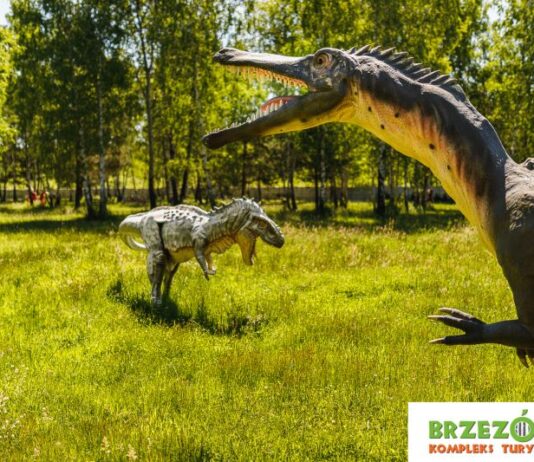 Brzezóvka – miejsce wypoczynku dla całych rodzin. Co na Was czeka?
