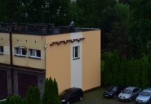 Do MPWiK Rzeszów przyleciały jerzyki. Czy zasiedlą gniazda?