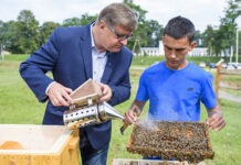 Bądźmy przyjaźni dla pszczół! Międzynarodowy projekt z udziałem Rzeszowa