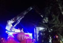Silny wiatr. Ponad 60 interwencji strażaków: powalone drzewa, zerwane dachy
