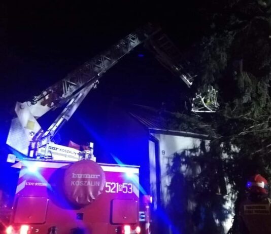 Silny wiatr. Ponad 60 interwencji strażaków: powalone drzewa, zerwane dachy