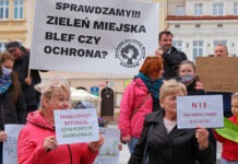 Społeczni Strażnicy Drzew nominowani do nagrody Fundacji Batorego