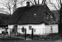 W czwartek w Rzeszowie uroczyste odsłonięcie muralu Arkadiusza Andrejkowa