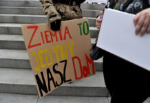 Neutralni dla klimatu. Rzeszów w elitarnym gronie europejskich miast