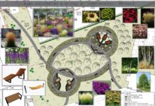 Kolejny park kieszonkowy w Rzeszowie. 44 brzozy i 144 graby utworzą żywopłot