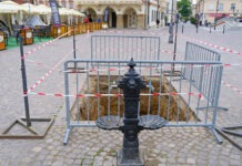 Na rzeszowskim Rynku będzie rosło nowe drzewo. W miejscu wyciętej akacji