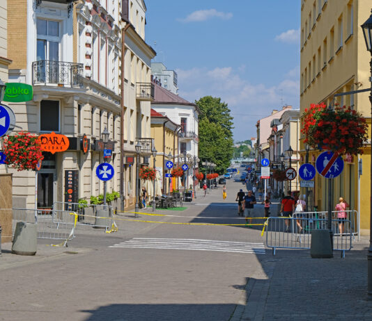 Miasto chce mieć na Grunwaldzkiej szpalery drzew. Projektanci myślą gdzie można je posadzić
