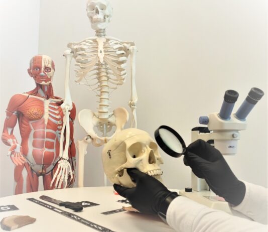 Zastanawiasz się gdzie i co studiować? Sprawdź nowe kierunki i specjalności WSPiA