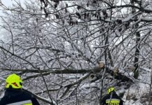 Atak zimy. Na Podkarpaciu wciąż bez prądu ok. 90 tys. domów, 650 interwencji straży