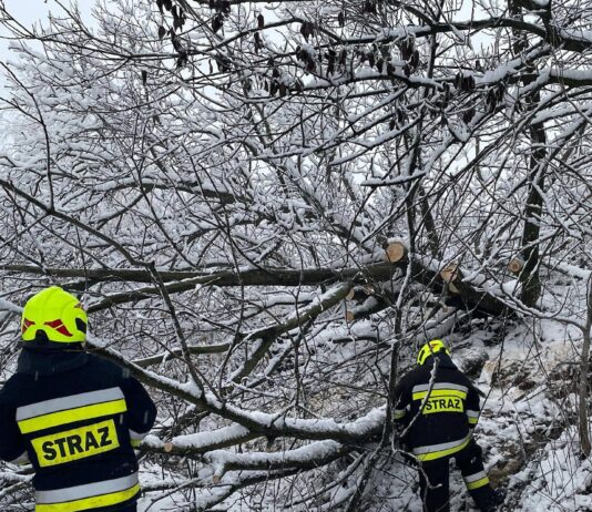 Atak zimy. Na Podkarpaciu wciąż bez prądu ok. 90 tys. domów, 650 interwencji straży