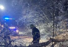 Wraca prąd do podkarpackich domów, rośnie liczba interwencji strażaków