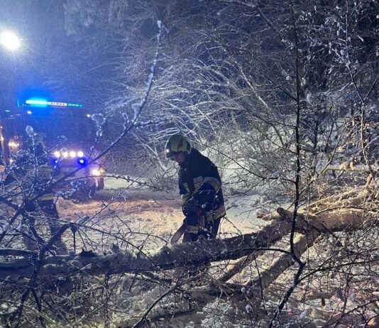Wraca prąd do podkarpackich domów, rośnie liczba interwencji strażaków