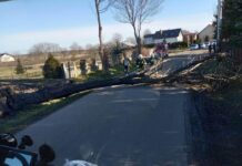 Wichury w regionie. Straż interweniowała 80 razy