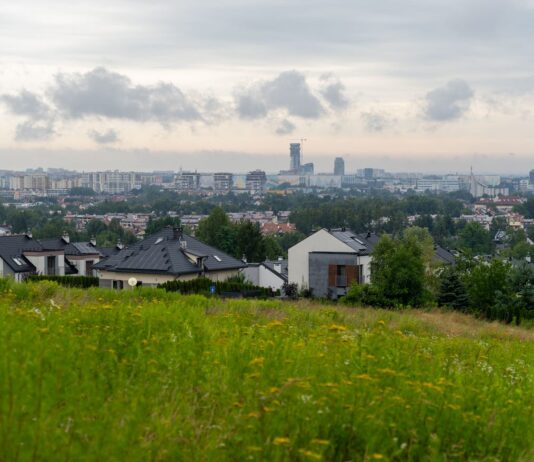 Miasto zapowiada: na rzeszowskim Zalesiu powstanie park dendrologiczny