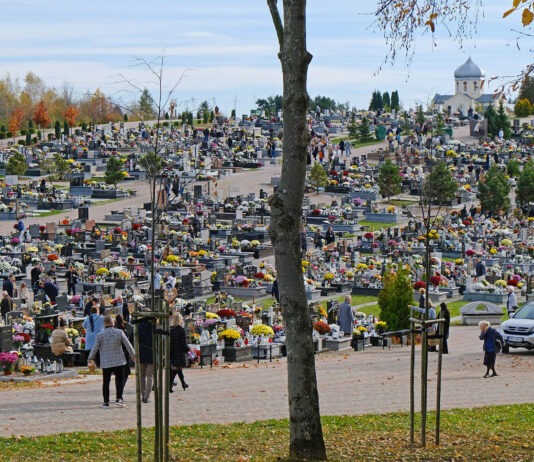 Wszystkich Świętych 2023. Zmiany w ruchu w rejonie rzeszowskich cmentarzy