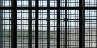 Zdjęcie: Sebastian Stankiewicz / Rzeszów News