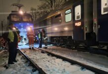 Pociąg PKP Intercity zderzył się z… dzikami. Przymusowa przesiadka 150 osób
