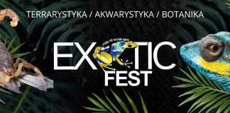 Exotic_fest