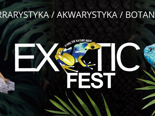 Exotic Fest, czyli największe targi terrarystyczno-akwarystyczne z botaniką docierają do Rzeszowa Exotic_fest