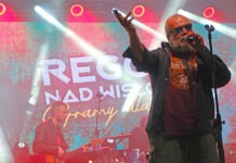 „Reggae nad Wisłokiem”. RDK szuka pomocników do organizacji festiwalu