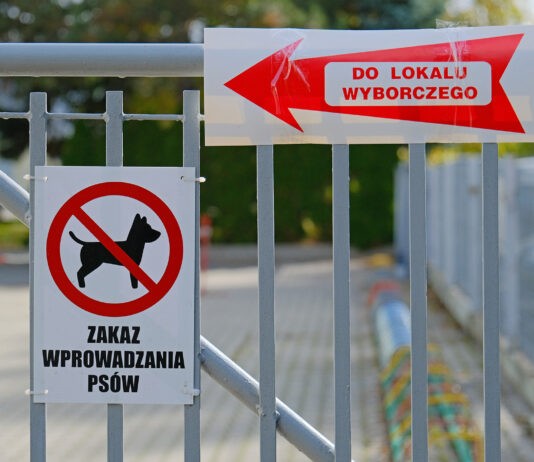 Złamana cisza wyborcza na Podkarpaciu. Już osiem incydentów