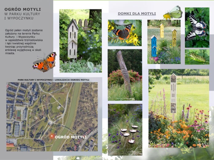 ogrodmotyli