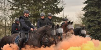 policja-konna-rzeszow
