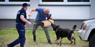 pies-sluzbowy-policja-szkolenie