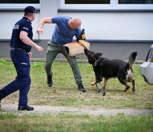 pies-sluzbowy-policja-szkolenie