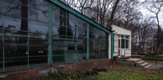 kwiaciarnia-roza-rzeszow