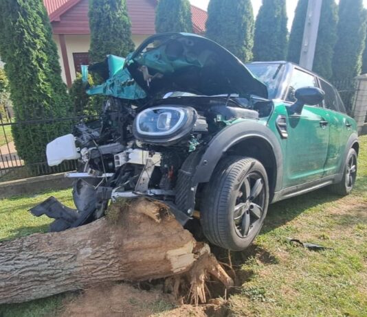 W zdarzeniu drogowym wziął udział 24-latek i drzewo. Wygrał kierowca mini-cooper-drzewo-pilzno-wersja-cyklop