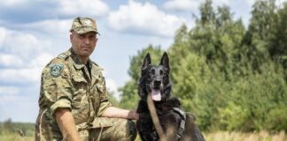 pies-sluzbowy-jambo-emerytura