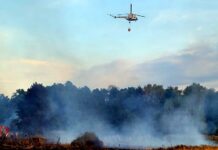 pozar-lasu-podkarpacie-sierpien-2024