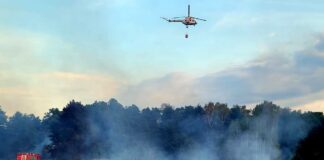 pozar-lasu-podkarpacie-sierpien-2024