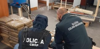 przemyt-haszyszu-podkarpacie