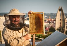 rzeszowskie-miodobranie