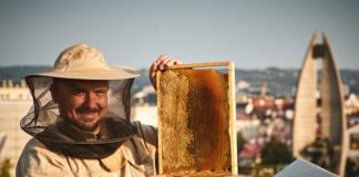 rzeszowskie-miodobranie