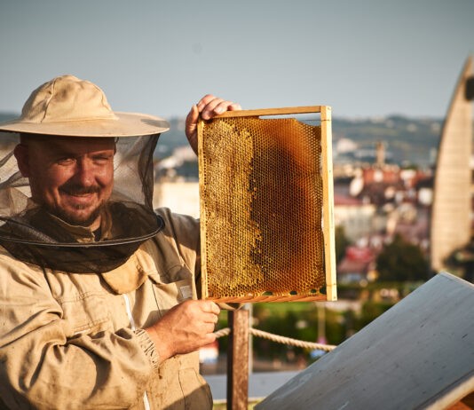 Rzeszowskie Miodobranie – degustacja i kiermasz w Galerii Rzeszów rzeszowskie-miodobranie