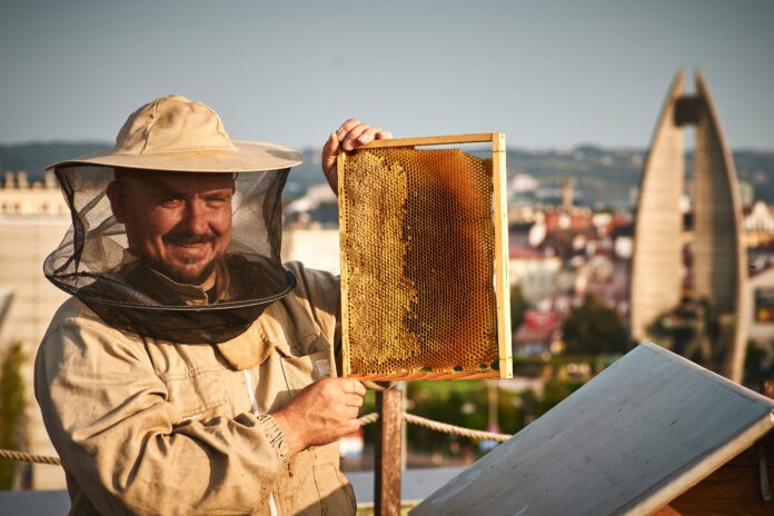 rzeszowskie-miodobranie