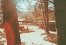 Plaża miejska w Rzeszowie: obywatelski projekt startuje mimo wyższych kosztów