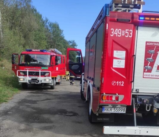 Dwie osoby zginęły. Audi wjechało w drzewo