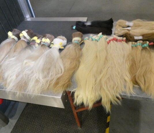 Włos się jeży! Nietypowy przemyt na granicy w Krościenku