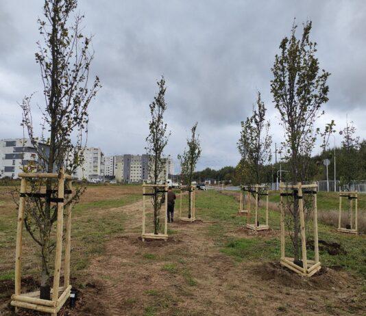 Park kieszonkowy powstanie przy SP nr 18. Miasto uspokaja: bloków tu nie będzie
