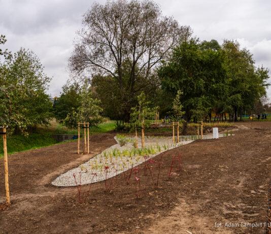 1,5 mln zł na wypoczynek. Rzeszów buduje park kieszonkowy przy Tarnowskiej