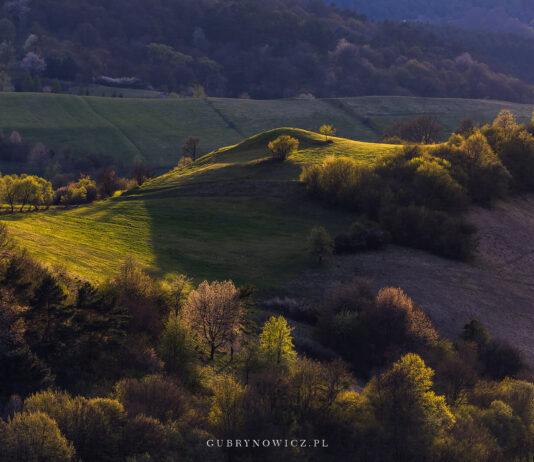 Puszcza Karpacka jak skarb. Eksperci chcą utworzenia rezerwatu Tunicki-Park-Narodowy