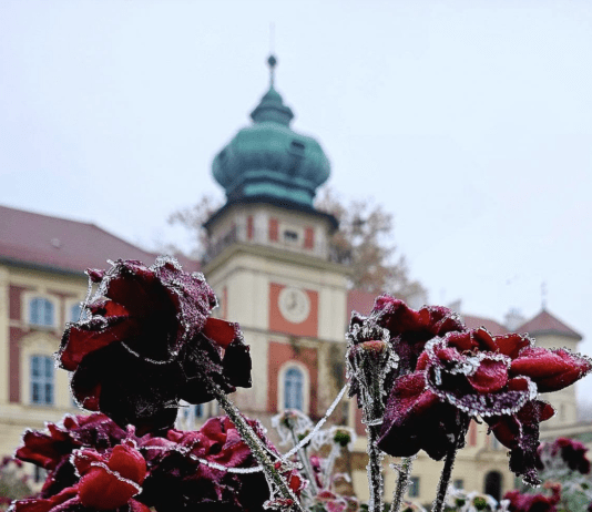 muzeum-zamek-lancut-jesien-2024