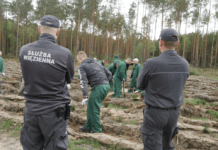Prokuratura bada czy w Rzeszowie przekroczono uprawnienia w programie “Praca dla więźniów” praca-dla-wiezniow