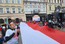 rzeszow-2024-bieg-niepodleglosci