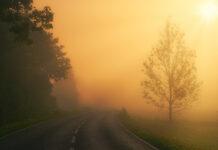 Kolejne alerty pogodowe! Mgła i marznące opady